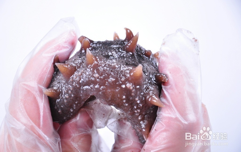 为什么你家的海参泡不大！