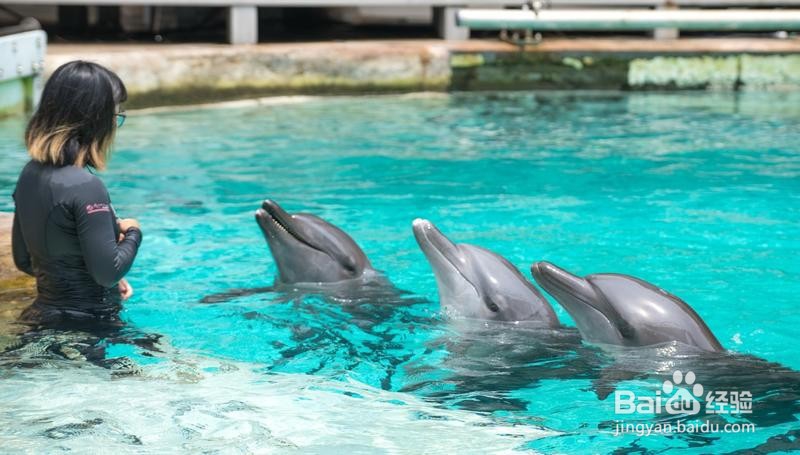 新加坡旅游简记21