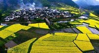 怎样自驾游到北京周边看美丽的风景
