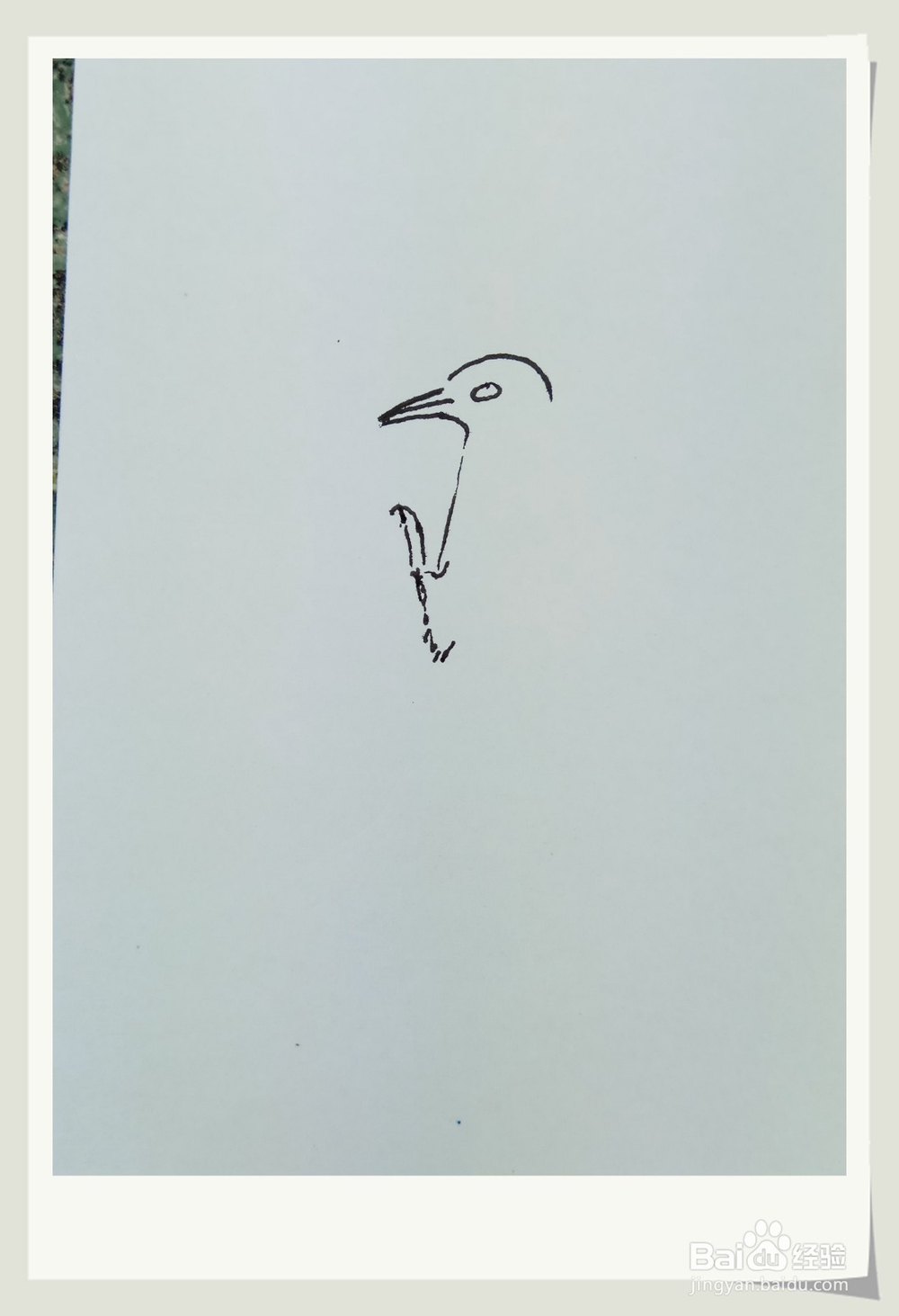 怎样画简笔画“啄木鸟”？