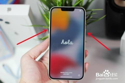 苹果13怎么截图