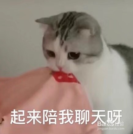 女追男的技巧微信聊天