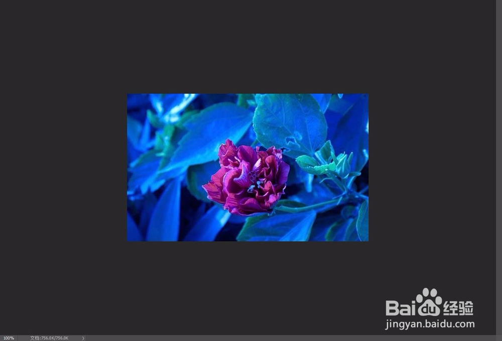 ps中怎样处理偏色照片