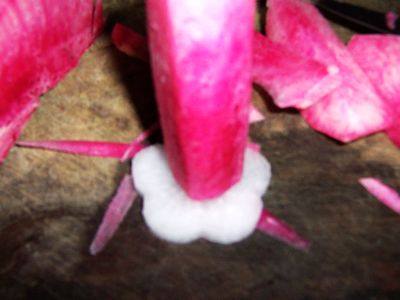 蜜汁柠香萝卜，味道真的棒极了