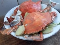 【清蒸海蟹】做法一