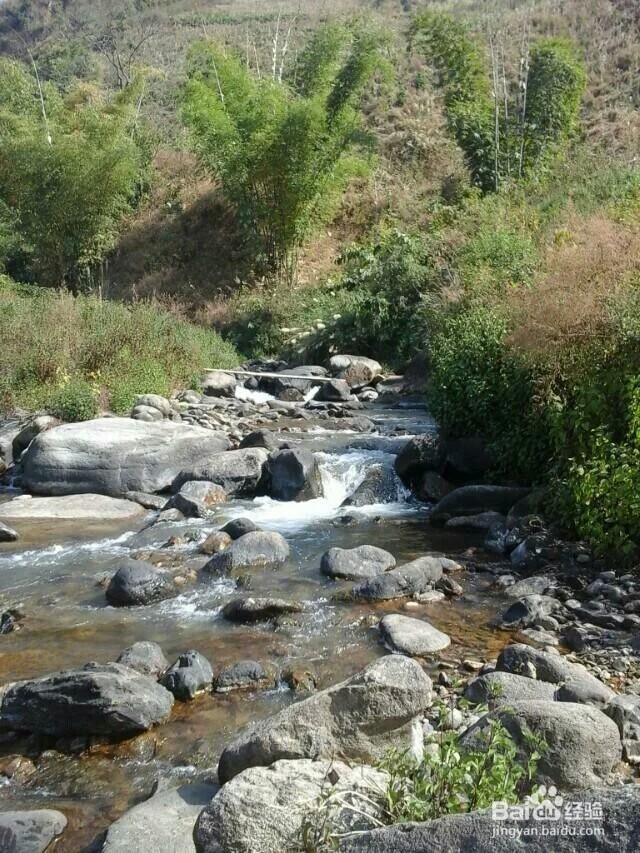 面试中要注意哪些问题？