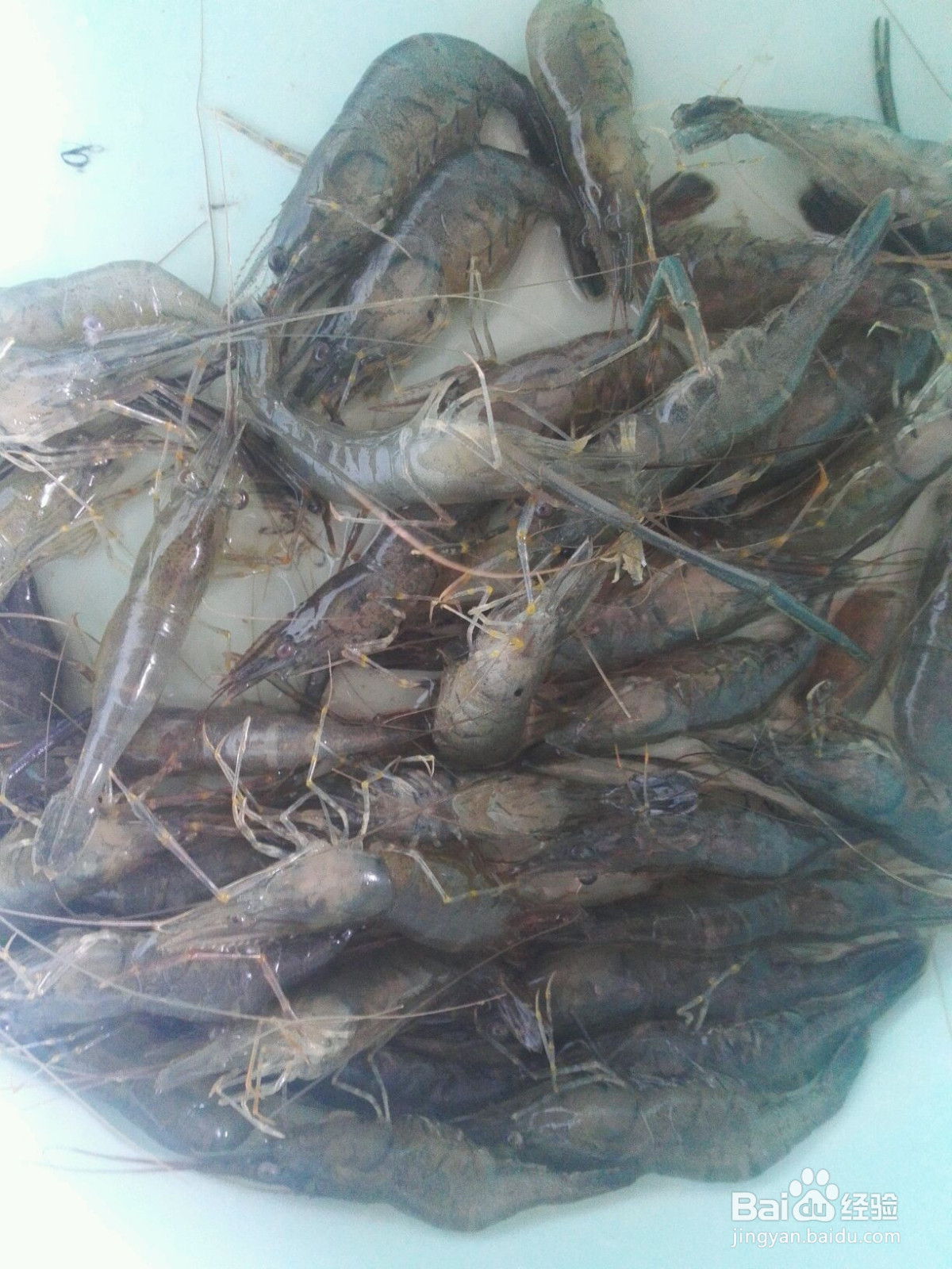 自制烤虾小吃的做法