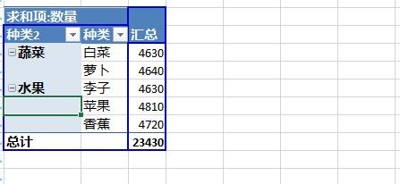 Excel2013：[38]数据透视表字段分组