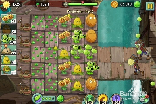 植物大战僵尸2(海盗港湾)第六关3星过关攻略