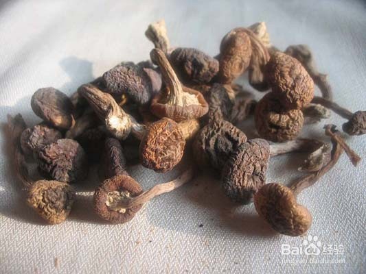 纯天然美味榛蘑