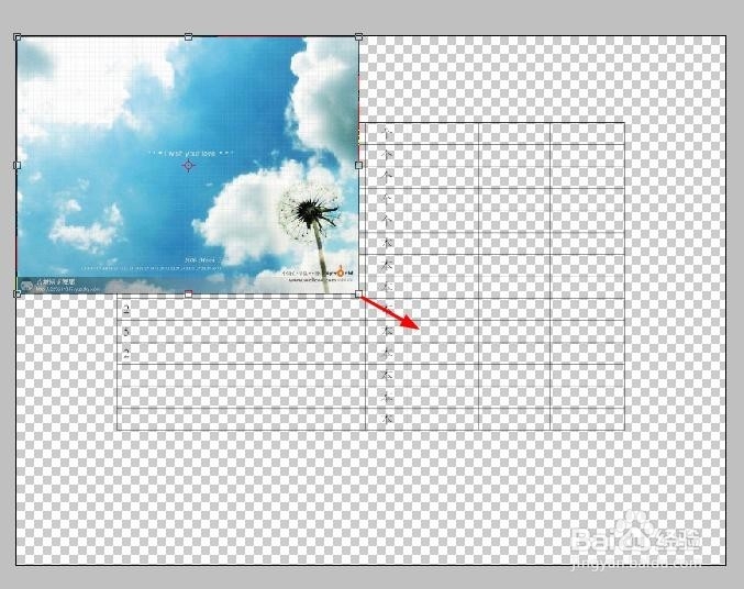 WORD转成PDF背景图没有显示怎么办？