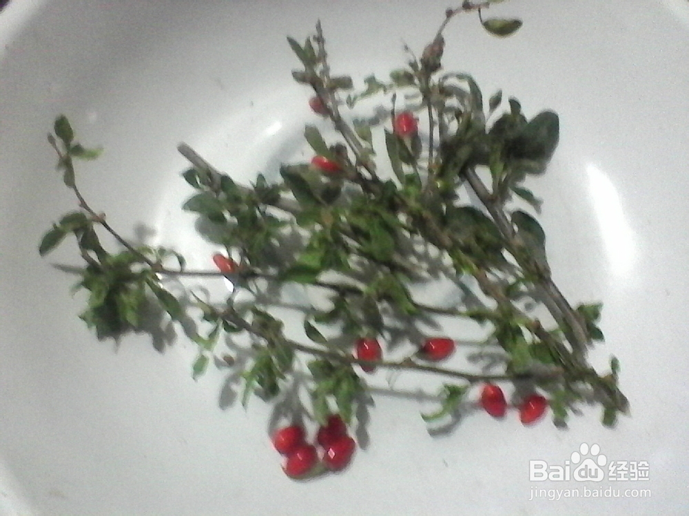 折纸剪贴画：[7]花花世界