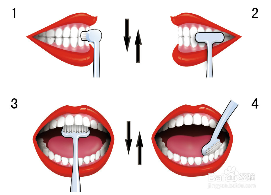 早上怎样合理安排时间？