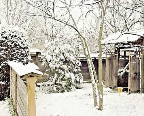 怎样在冬天给自己的身体保暖