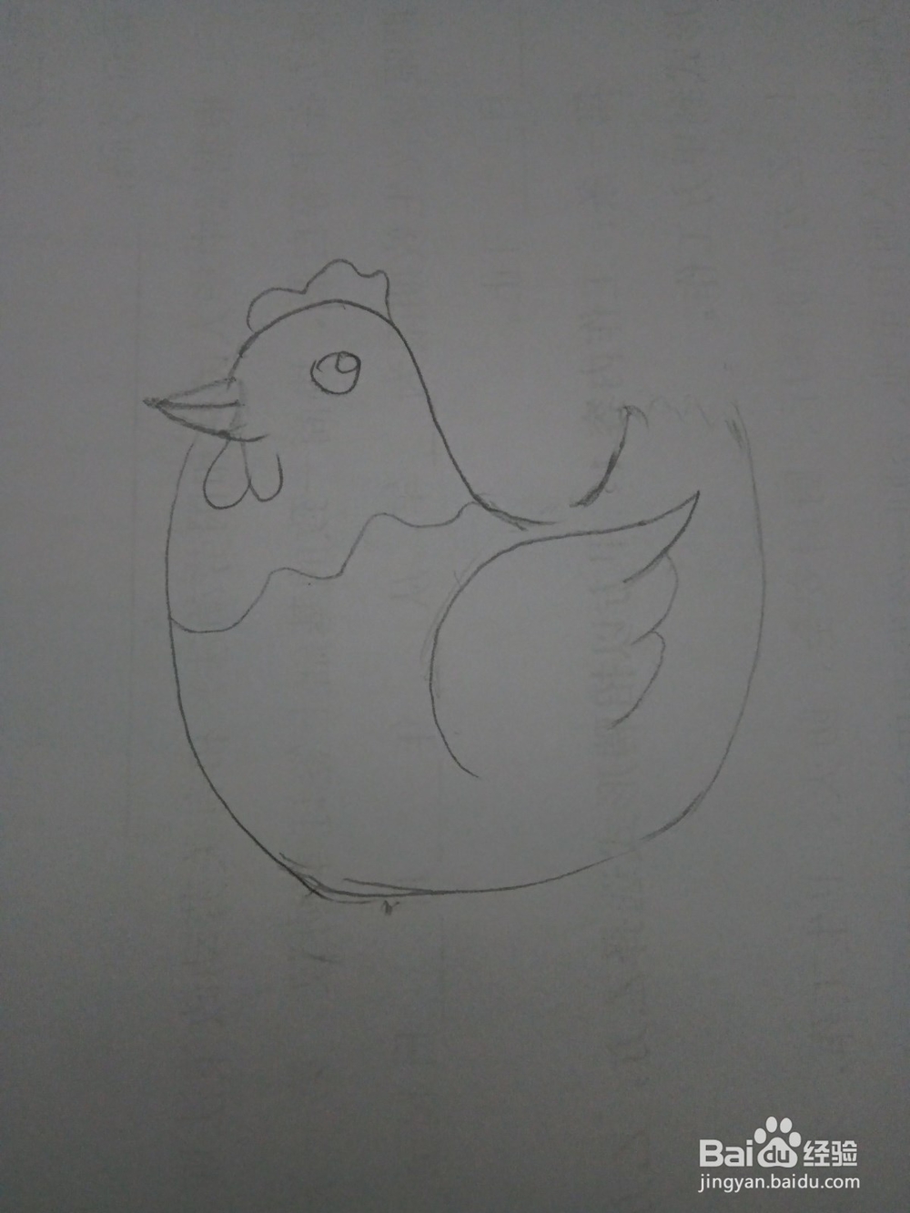 简笔画老母鸡下蛋的画法