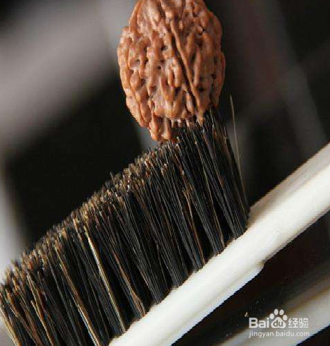 龙鳞纹小金刚盘玩攻略