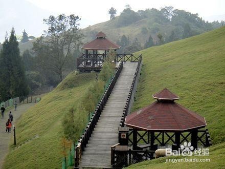如何建设多元化农场