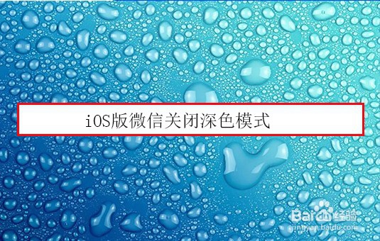 <b>iOS版微信关闭深色模式</b>