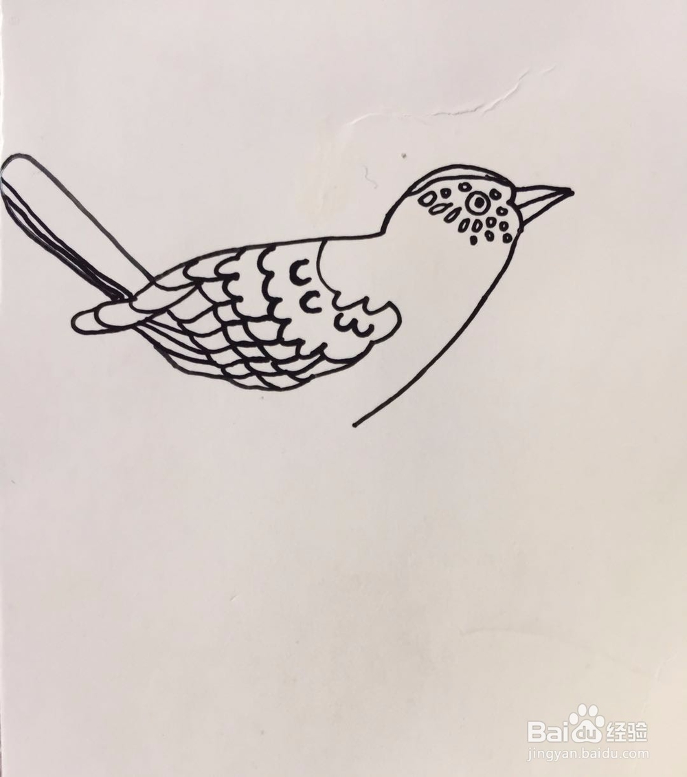 茉莉水彩手绘之富贵吉祥鸟