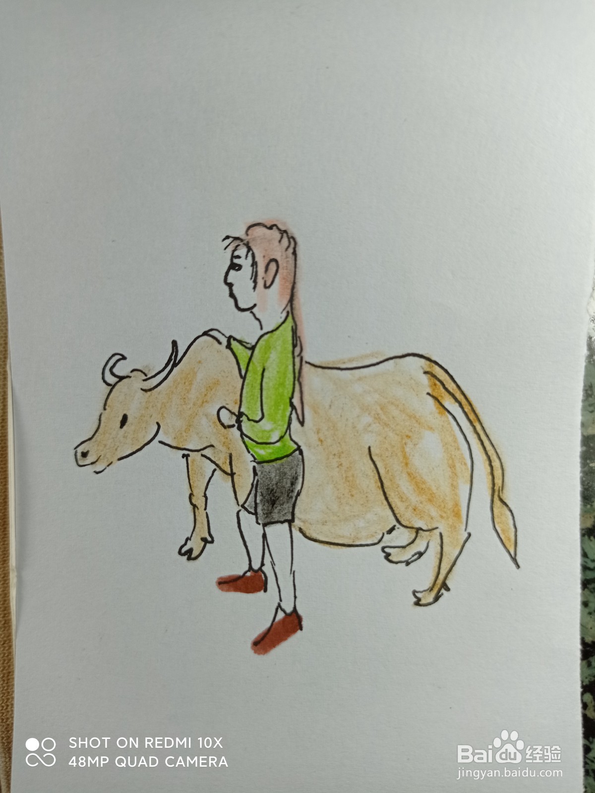 怎样画简笔画牵着牛的女孩?