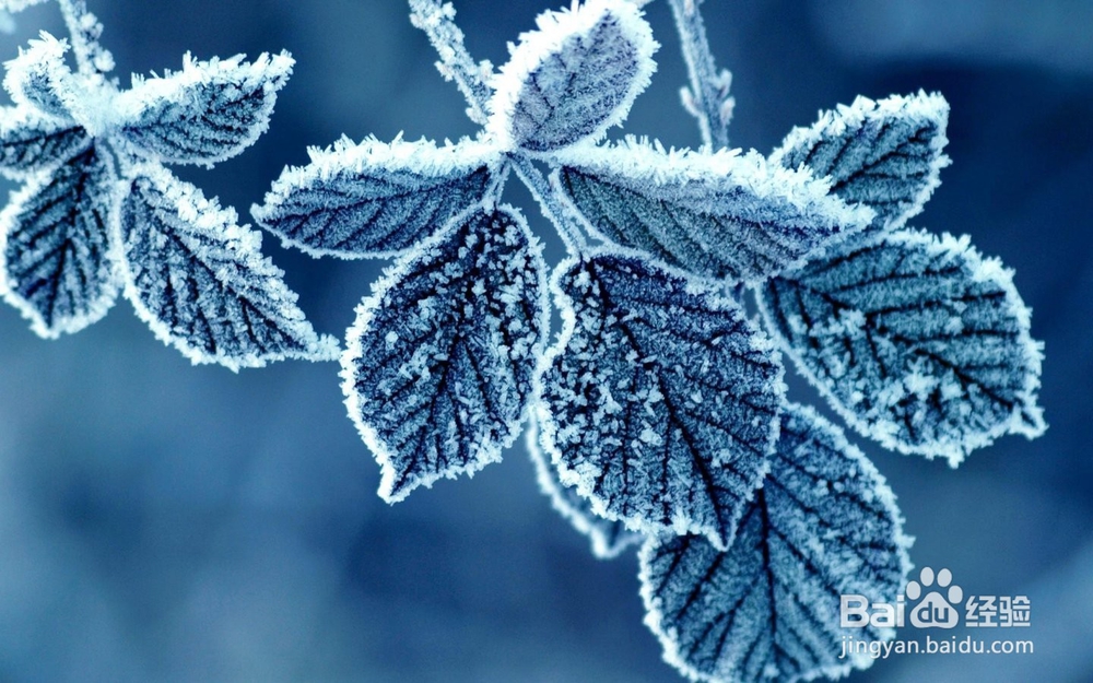 手腕腱鞘炎治疗方法