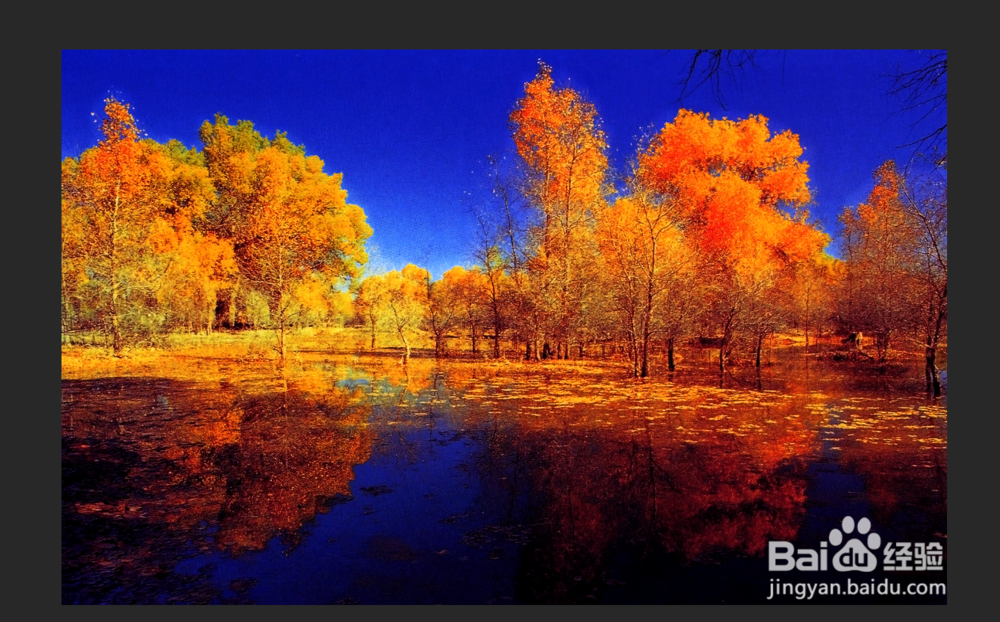 PS 体现艺术魅力的风光色调