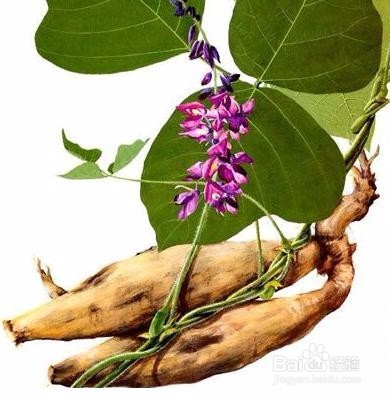颜元参的做法