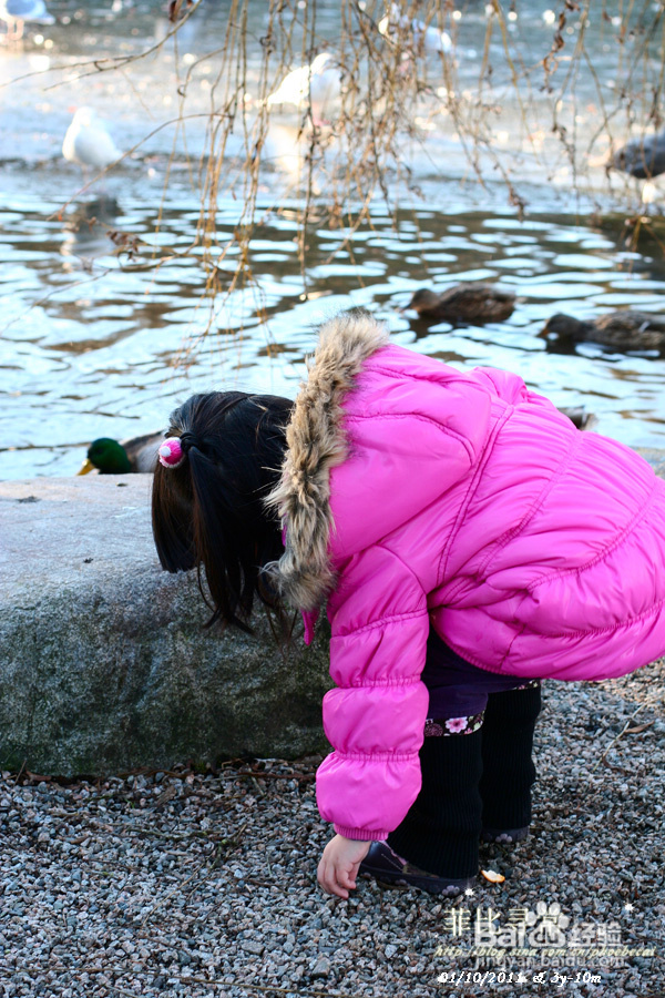 冬天的伊丽莎白女皇公园&发烧(组图)