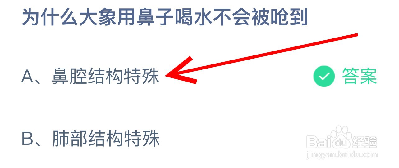 蚂蚁庄园为什么大象用鼻子喝水不会被呛到