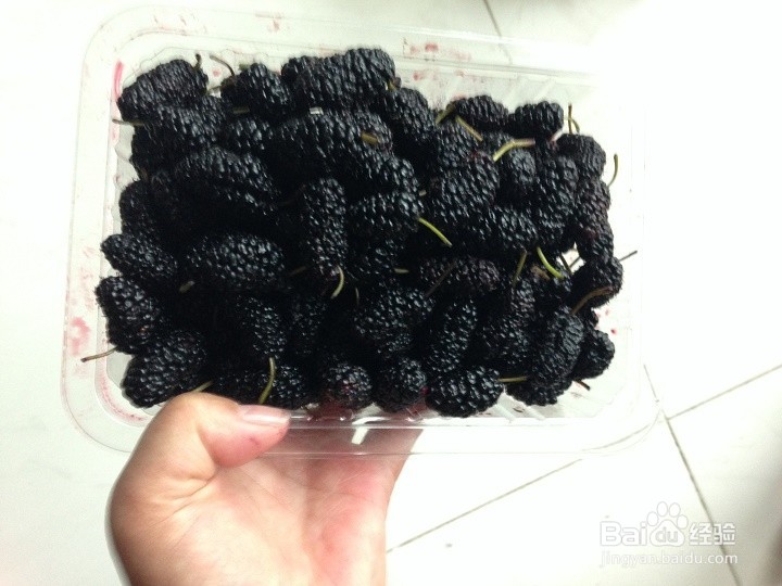 桑葚为什么要洗后吃