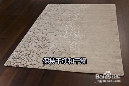 如何预防不曾注意道的过敏源