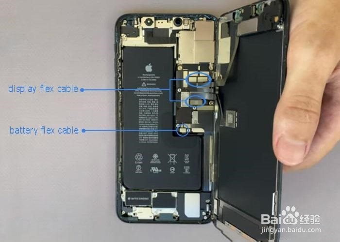 更换iPhone 11 Pro / Pro Max后置摄像头教程