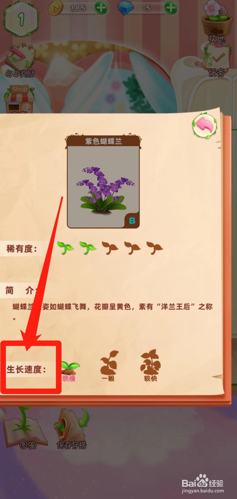 花花姑娘之魔法花园如何查看紫色蝴蝶兰生长速度