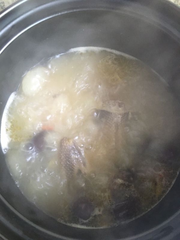 西洋参滋补养生鸽子汤