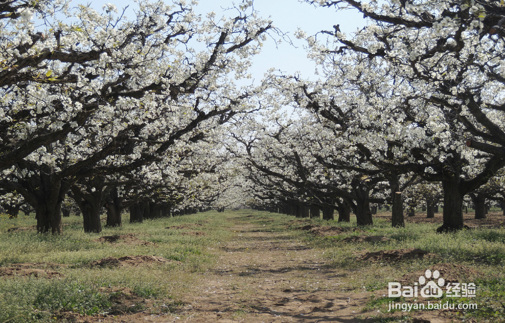 两人相处如何才能维护好感情？