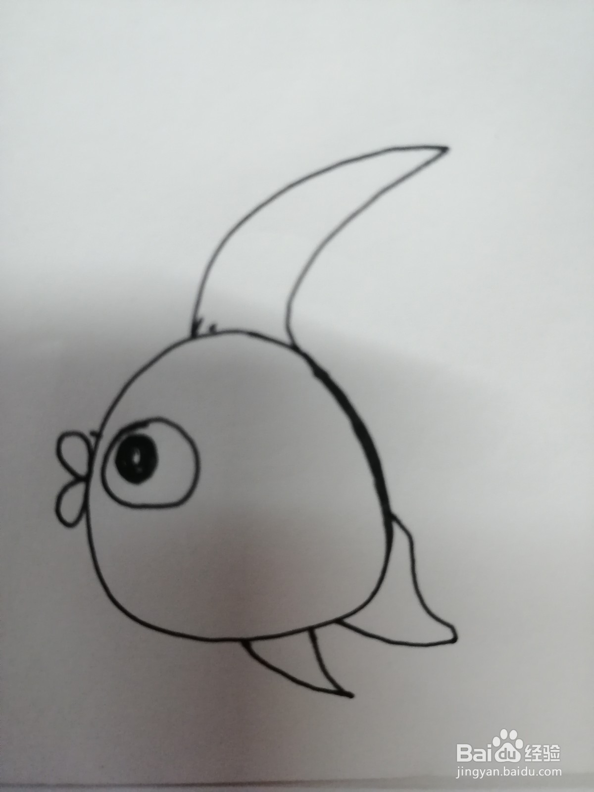 如何用圆形画出可爱的简笔画鱼呢？