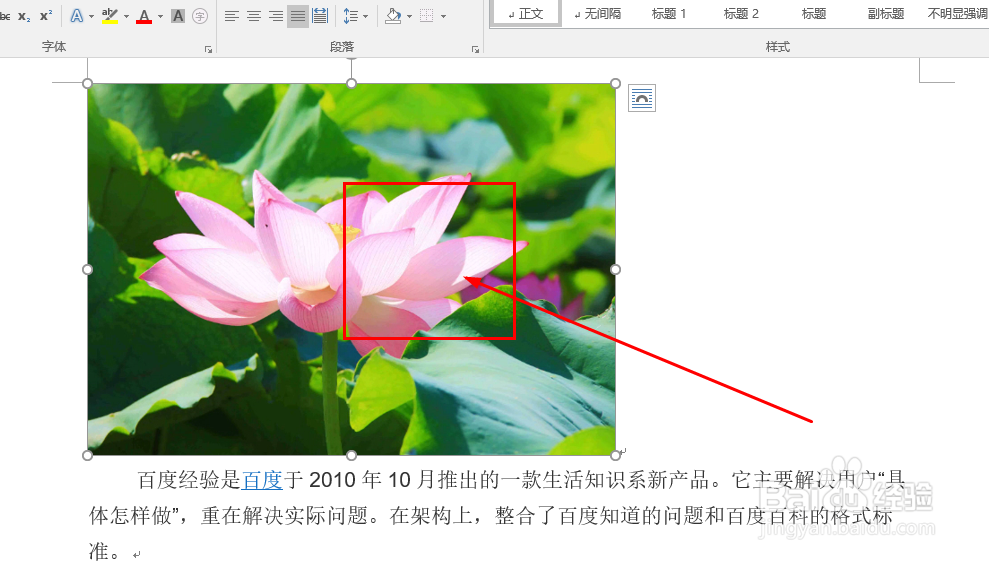 Word中如何设置图片排版样式