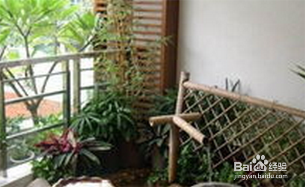 新装修的房子怎么去除房子内的甲醛