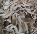 如何制作蘑菇炒韭菜