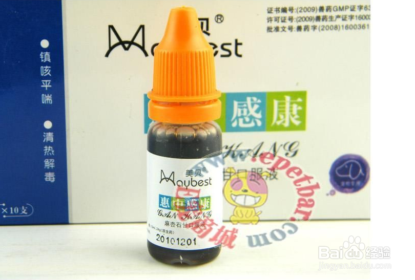 猫咪患传染病怎么办猫咪传染病是什么