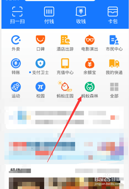 支付宝西瓜挂件怎么弄,支付宝西瓜树怎么种