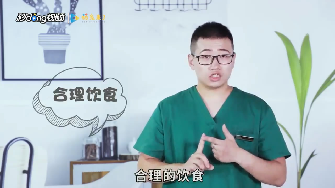 暹罗猫怎么养