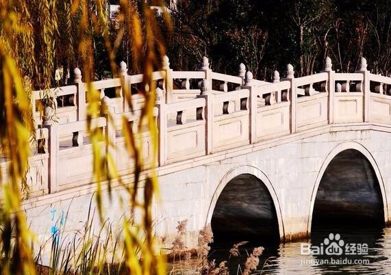 老年人怎样预防老年痴呆