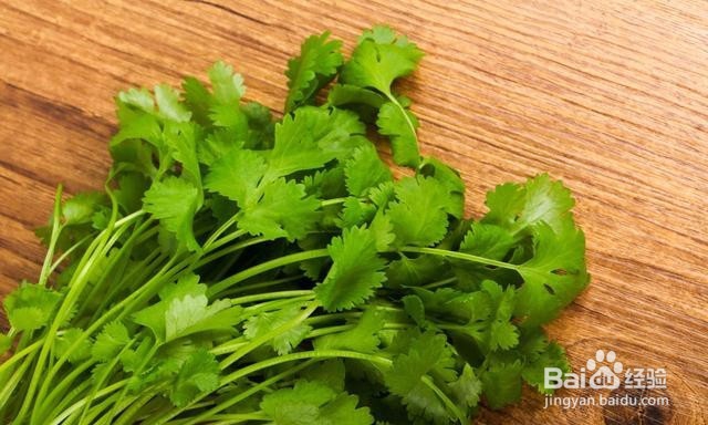 怎样种香菜比较好