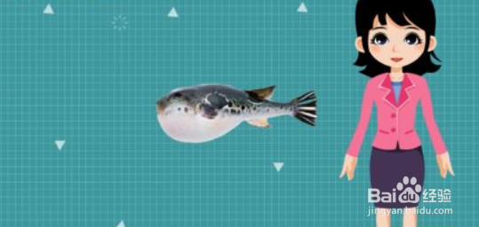 河豚怎么处理才没毒