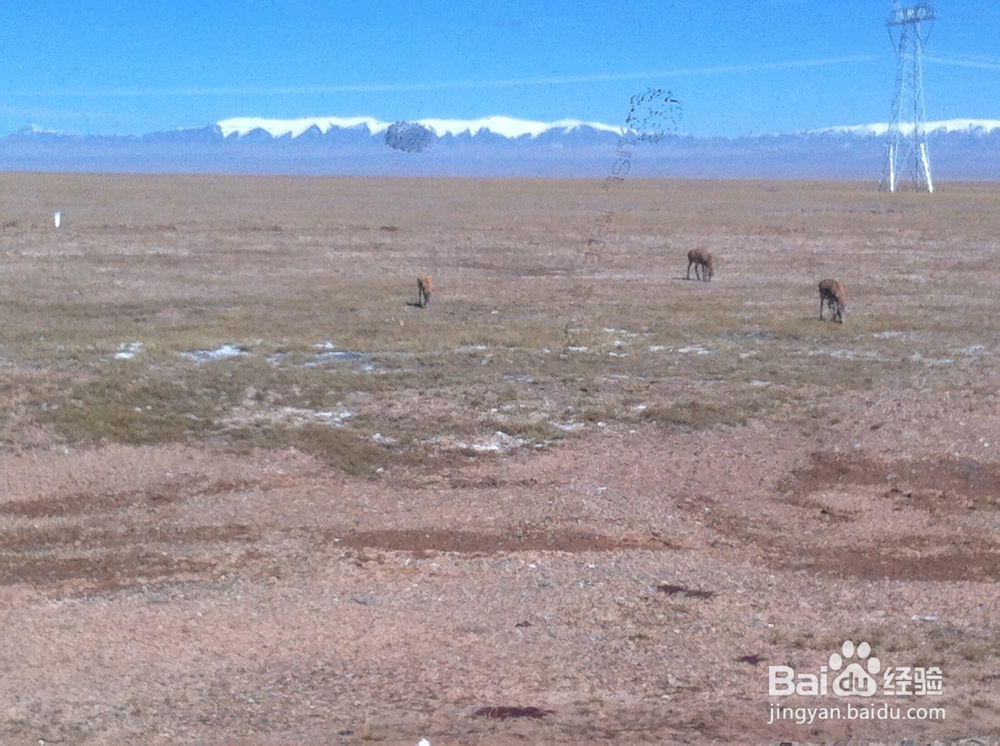 穿越青藏线：[1]自驾