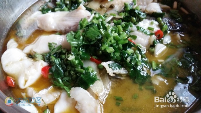 麻辣鲜香的双椒鱼摆摆，简单易学，So easy