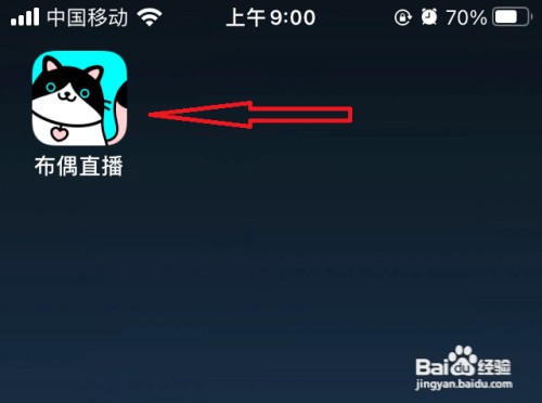 布偶直播实名认证怎么操作