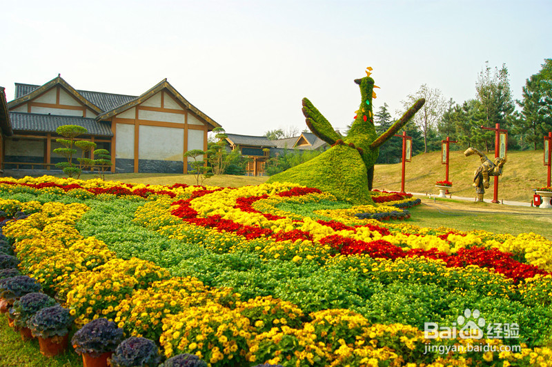 最新开封菊展旅游攻略