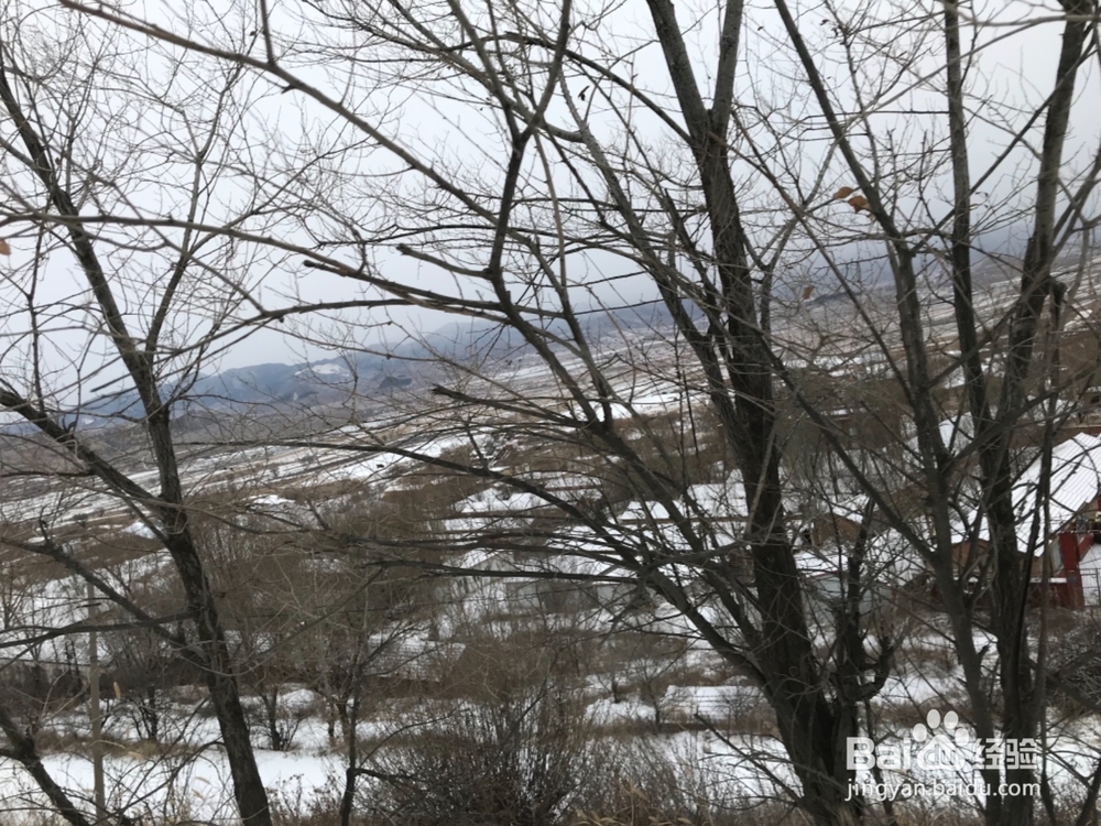 怎样拍摄风雪中的景色